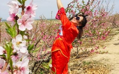 终极三国mp4下载